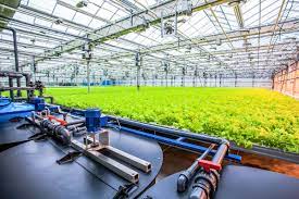 Most of our grow rooms don't need a controller just like most don't need buy one of the grow room ac units here. Generators For Industrial Farming Grow Operations Cannabis