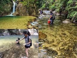 Kuala kubu bharu town is a good place for photographers interested in photographing old buildings and sites such as the monument of kuala kubus tragedy, old fire station, etc. Ikan Tengas Peneman Pengunjung Berenang Di Sungai Chiling Libur