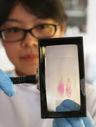 Irish cancer research gets a boost with its first ever brain tumour biobank