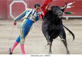 Image result for ivan fandiño