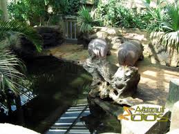 It initially encompassed 15.5 hectares. Gelsenkirchen Zoo Zoom Erlebniswelt About Zoos