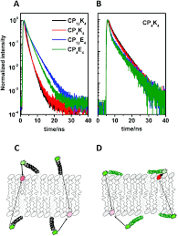 Der cpk wert ist definiert als der abstand des mittelwertes zur näher gelegenen toleranzgrenze (ot bzw. Distinct Roles Of Snare Mimicking Lipopeptides During Initial Steps Of Membrane Fusion Nanoscale Rsc Publishing Doi 10 1039 C8nr05730c