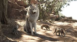Raksha And Her Pups By Https Giuseppedirosso Deviantart Com On Deviantart Wolf Spirit Animal Fantasy Wolf Wolf Dog