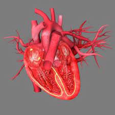 But where does this excess fluid come from? Pericarditis Symptoms Diagnosis And Treatment