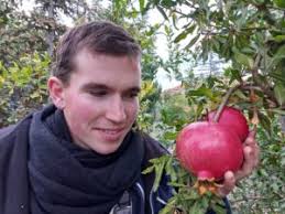 Gránátalma Archívum