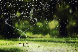 Check the soil every 15 minutes during your first watering to. The Best Time To Water Your Grass How Long To Water Grass