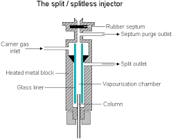 Gas Chromatography