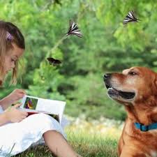 The poems below are all for dogs and reflect why they're called a mans. 19 Dog Poems Poems About Man S Best Friend