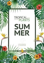 You can use the following text Tropical Palm Leaves Background Invitation Or Cover Or Poster Design With Jungle Leaves And Flowers Vector Illustration In Trendy Style Royalty Free Cliparts Vectors And Stock Illustration Image 81626516