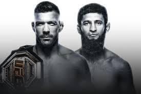 UFC 319: ड्रिकस डु प्लेसिस बनाम खमज़त चिमाएव - शीर्षक के लिए भिड़ंत! - Imagen principal del artículo