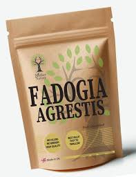 Image result for Fadogia