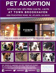 Cobb dr, in smyrna from 11am to 2pm. Stop By One Of Our Events Today To Meet Angels Among Us Pet Rescue Facebook