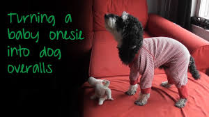 Baby Onesie Into Dog Overalls Youtube