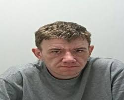 Faces of 35 criminals jailed in June from killers and rapists to a gangland  enforcer