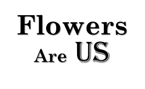 Flowers are us proudly serves monmouth and the surrounding areas. Monmouth Florist Flower Delivery By Flowers Are Us