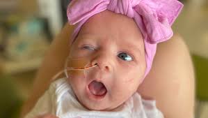 Fundraiser by Kyra Anderson : Donate to help the Payne Family