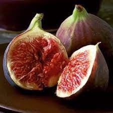 Fruiting Trees One Green World Figs Benefits Health Benefits Of Figs Bbc Good Food Recipes