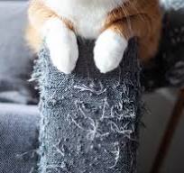 What are cat claw friendly fabrics and furniture options for ...
