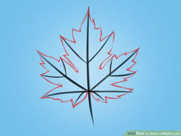 How To Draw A Maple Leaf Maple Leaf Drawing Leaf Drawing Leaf Drawing Easy