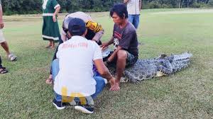Kedua tangan dadang buaya diikat dengan lakban. Dua Kali Digigit Buaya Dadang Taklukkan Predator Pakai Alat Pancing Kitamudamedia
