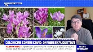 J'ai finalement remplacé la molochite par du kaolin, ce qui me fait un total de 40% de kaolin non calciné. La Colchicine Qu Est Ce Que C Est Bfmtv Repond A Vos Questions Youtube