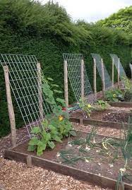 34 The Number One Question You Must Ask For Garden Ideas 33 Gentileforda Com Backyard Vegetable Gardens Vegetable Garden Design Small Vegetable Gardens