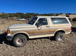 Image result for Desert Tan 1991 Bronco