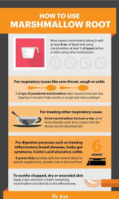 Benefits of marshmallow for women. Marshmallow Root Benefits Uses Risks Side Effects And More Dr Axe