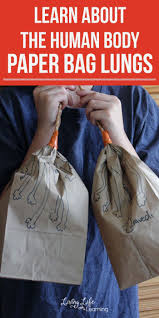 Make Your Own Paper Bag Lungs Activity Human Body Activities Human Body Lesson Human Body Science