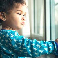 悲鳴！男の子のペニスに海水パンツが食い込む事故が相次ぐ