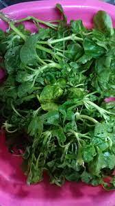 Semua senyawa yang asalnya dari makhluk hidup disebut dengan senyawa organik. Baja Organik Cair Buatan Sendiri Sebagai Booster Tanaman Memang Menjadi Keluarga