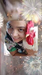 Karen Primavera's Instagram, Twitter & Facebook