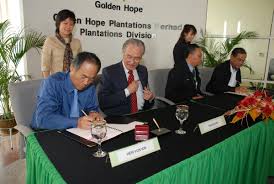 Bukit kerayong 3.1902 101.3769 yes 22 sime darby plantation berhad m. Hai O Enterprise Berhad