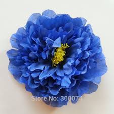 Maybe you would like to learn more about one of these? Handmade 17cm Artificial Royal Blue Peony Flowers Head Craft Supplies Decorative Flowers For Wedding Decoracao Do Casamento Flor Flowers For Decorative Flowersflower For Wedding Aliexpress