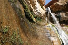 Check spelling or type a new query. Lower Calf Creek Falls
