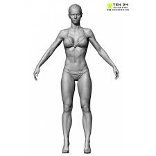 2 (female) with its body shape adjusted and the initially included pose material an standing applied. Shaded Female 04 Pose 07 Fitness 3d Scan