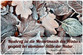 Der Kleine Gartenphilosoph Spruche Zum Nachdenken Fur Den November Butenas Holzbauten