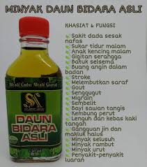 Daun bidara juga punya banyak manfaat untuk kecantikan. Minyak Daun Bidara Asli Minyak Bidara Asli Ruqyah Facebook