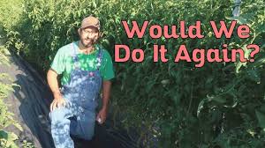 Landscape fabric & weed barrier ensure that your garden weeds are cut off from the sunlight that they crave. Does Weed Fabric Really Work In The Garden Youtube