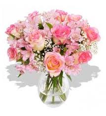 On the fifth wedding anniversary, gift your loved one some daisies. 20 Wedding Anniversary Flowers Ideas Anniversary Flowers Flowers Flower Gift