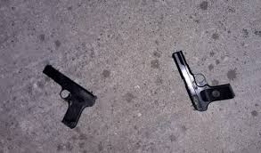 Rezultate imazhesh për VRASJA E UJKUT