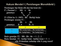 Richard gephardt menyerang kebijakan luar negeri bust steh kematian uday dan qusay. Contoh Soal Persilangan Dihibrid Dominan Resesif Contoh Soal Terbaru