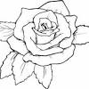 Spring brings fresh breezes and glorious flowers. 1