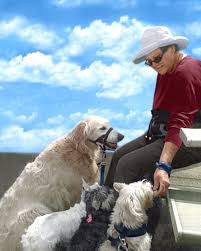 Obituary for Emily (Ellis) Ellis-Dyer