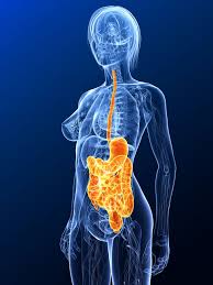 Bei einer magenspiegelung führt der arzt die sonde durch den mund, bei einer darmspiegelung hingegen anal ein. Gastroenteritis Magen Darm Entzundung Symptome Diagno