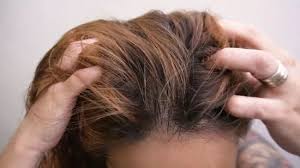 They are all excellent emollients that help to. How To Use Argan Oil For Hair 9 Steps With Pictures Wikihow