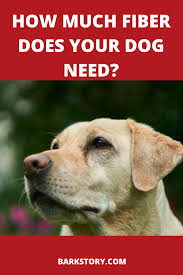 Click to read our guide. How Much Fiber Does Your Dog Need Fiber For Dogs Best Dog Food Dog Food Recipes