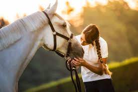 Equine therapy incorporates a therapeutic relationship with horses to generate emotional growth, and improved communication. How To Start A Therapeutic Riding Program