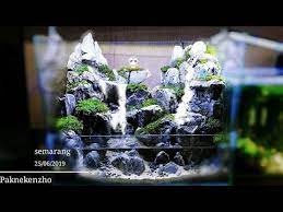 Membuat Paludarium Dengan 2 Airterjun Youtube Kolam Taman Taman Jepang Vivarium