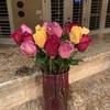 Same day delivery, low price guarantee.send flowers, baskets, funeral flowers for fresh, high quality flowers in minot, maine you can count on avas flowers. Top 1 040 Avas Flowers Reviews Page 44